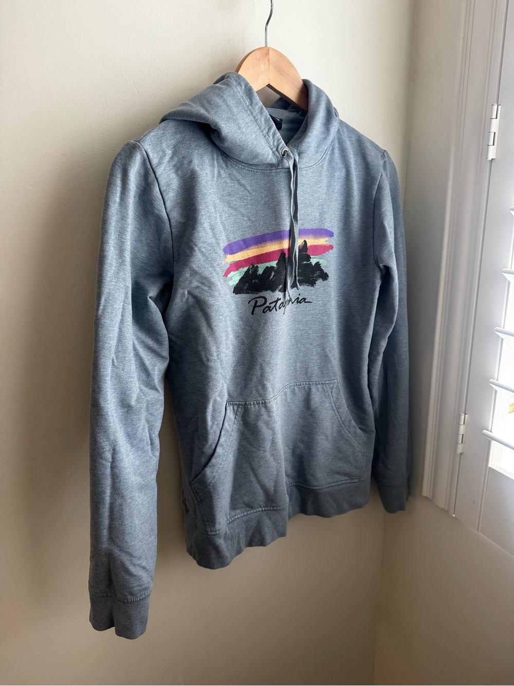 Patagonia Women’s light blue Pullover Hoodie with Sunset Graphic